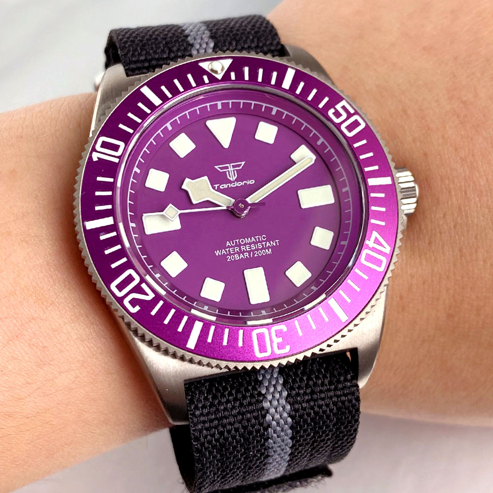 チタン タンドリオ パープル 42mm FXD 日本 NH3 - Titanium Sport Watch のレビューと価格