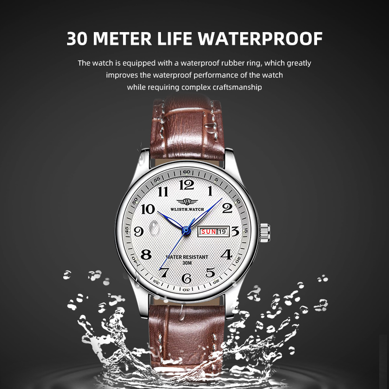 WLISTH 高級ブランドメンズ腕時計クォーツ時計アラビア数 - Luxury Watch Investment のレビューと価格